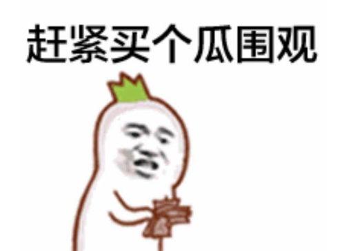 吃瓜群众第五集视频