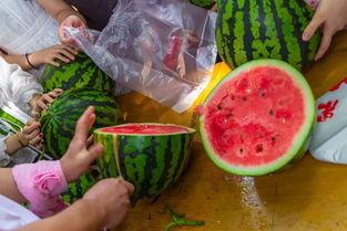 高校吃瓜福利视频,吃瓜视频带你领略校园生活风采