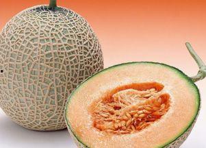 香港明星吃哈密瓜视频,哈密瓜美食之旅