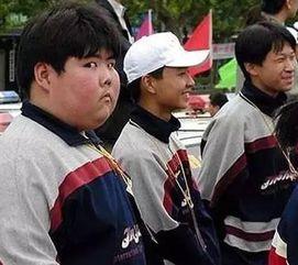 各大网红吃瓜群众视频,揭秘娱乐圈幕后风云