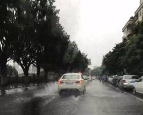 东莞暴雨吃瓜视频,吃瓜群众捕捉惊险瞬间