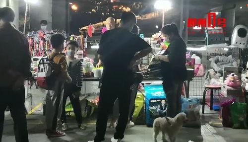 吃瓜看戏遛狗视频在线观看,尽在吃瓜看戏遛狗视频盛宴