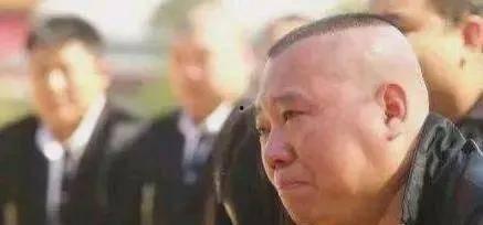 合肥女子吃瓜事件始末视频,一场网络热议的瓜田风波