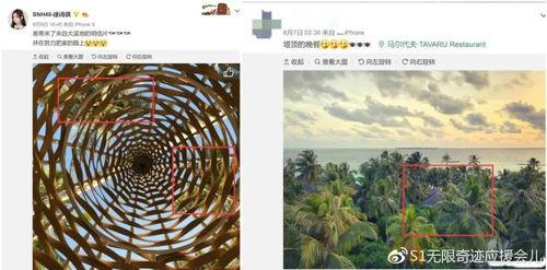 邯郸水城吃瓜事件视频播放,网络热议的瓜田奇观