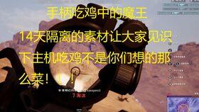 小呆瓜吃鸡动画视频下载,趣味横生的欢乐时光