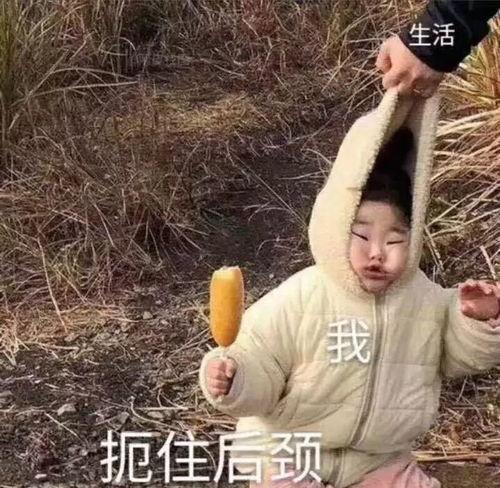 沙雕视频吃瓜系统,揭秘网络笑料背后的趣味与争议