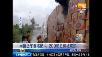 版纳吃瓜事件真相揭秘视频,揭秘背后真相与争议