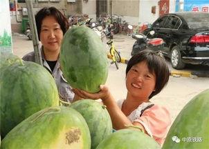 曹县小区吃瓜视频,揭秘邻里纷争背后的真相