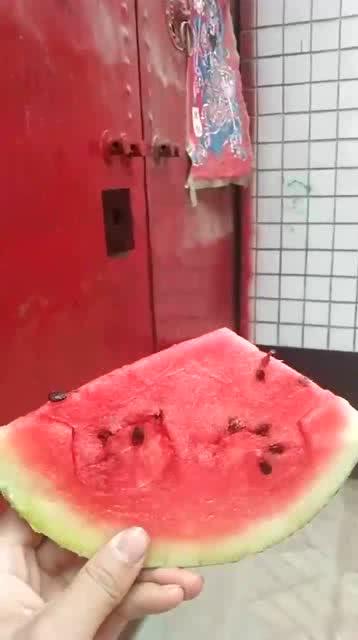 中国最强吃瓜狗视频,最强视频背后的热门现象