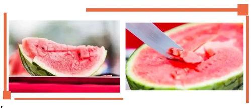 吃瓜视频资源沙河幼师瓜