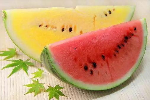 吃瓜视频属于什么类型,网络娱乐新潮流的崛起